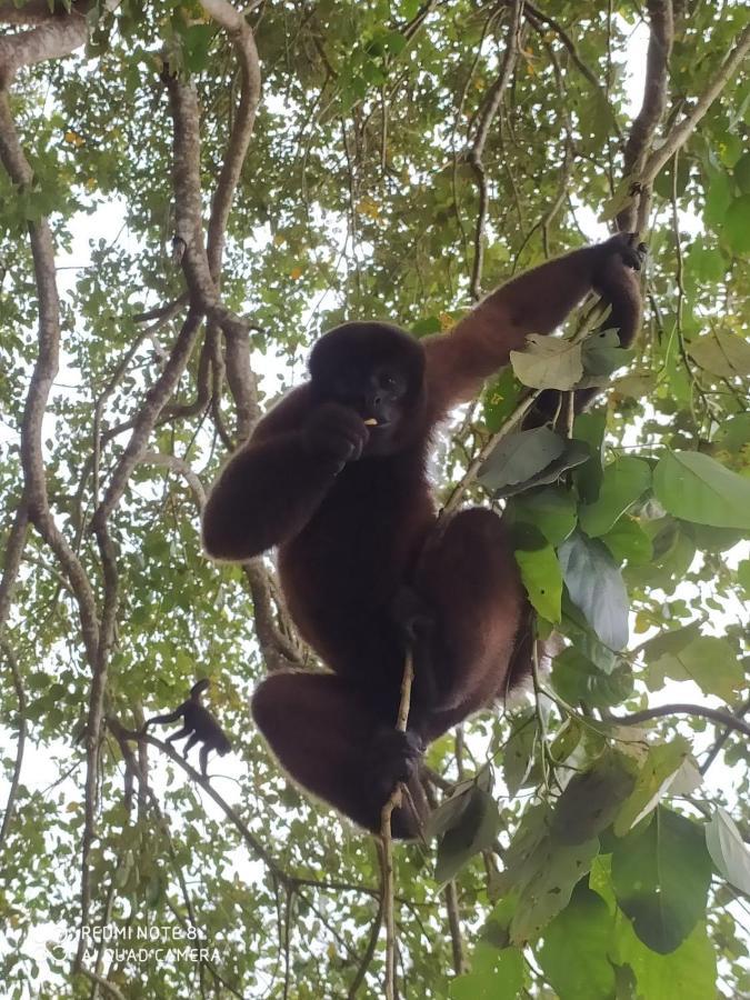 Jacamar Lodge Expeditions イキトス エクステリア 写真