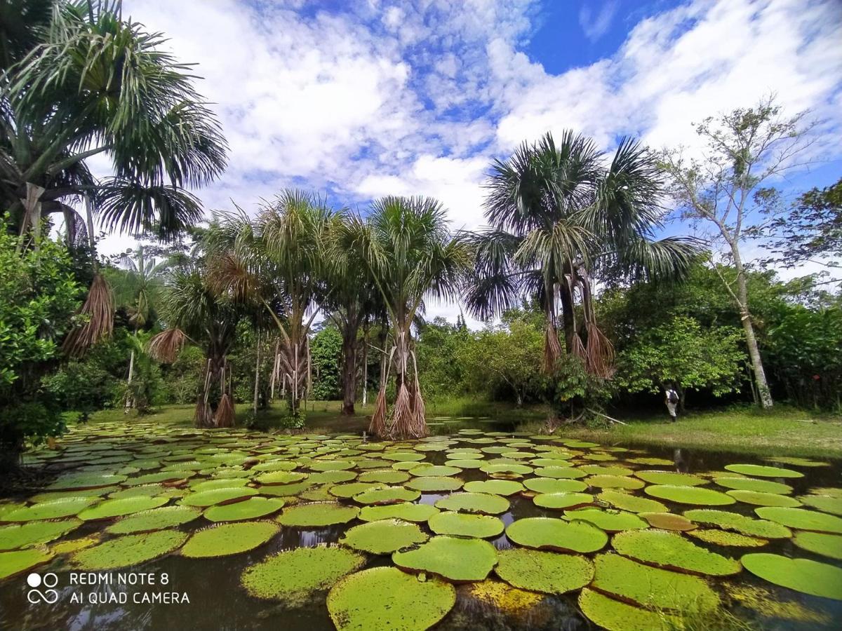 Jacamar Lodge Expeditions イキトス エクステリア 写真